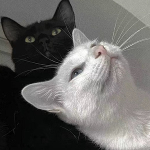 深喉凸出拳交极限
